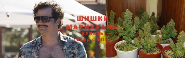 не бодяженный Кулебаки