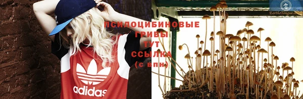 не бодяженный Кулебаки